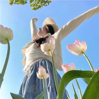 苦菜花
